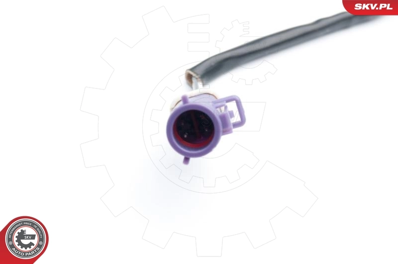 Oxygen Sensor